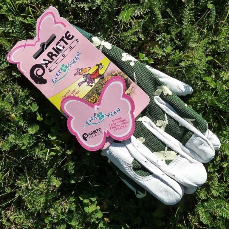 Lederhandschuhe;  Größe S